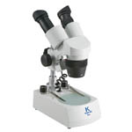 カテゴリ_中学1年生サムネイル