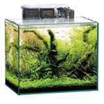 カテゴリ_飼育サムネイル