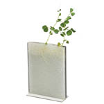 カテゴリ_栽培サムネイル