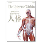 カテゴリ_映像資料サムネイル