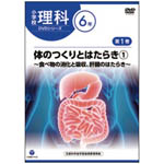 カテゴリ_小学校サムネイル