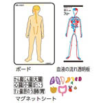 カテゴリ_掛図・図集サムネイル