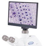 カテゴリ_デジタル顕微鏡サムネイル