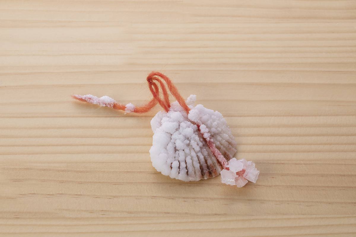 りかなび】結晶製作キット クリスタルって最高｜必要な商品を今すぐ 