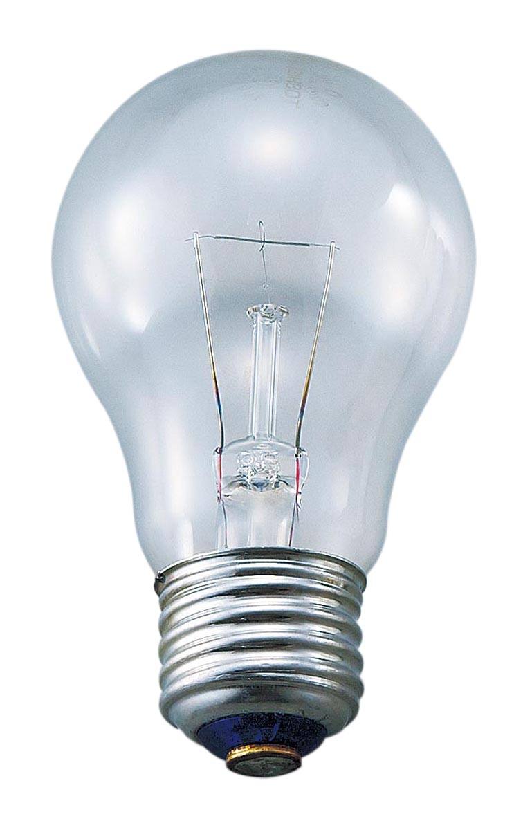 白熱球 12V 20W 透明【りかなび】ケニス株式会社