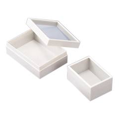 ガラスふた付標本ケース SBS33（10個組）【りかなび】ケニス