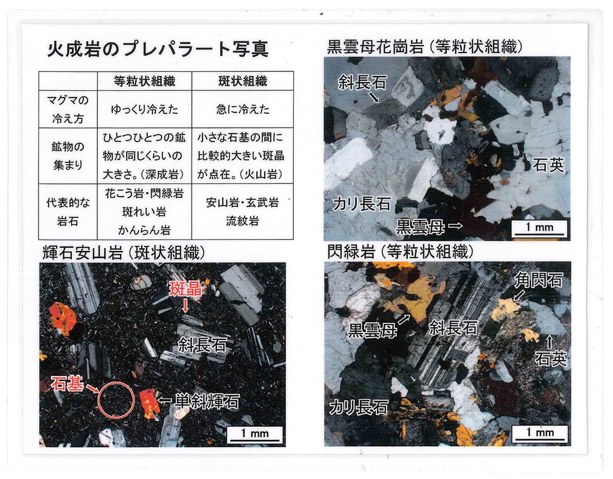 火成岩標本（研磨） プレパラート写真付 10RK【りかなび】ケニス