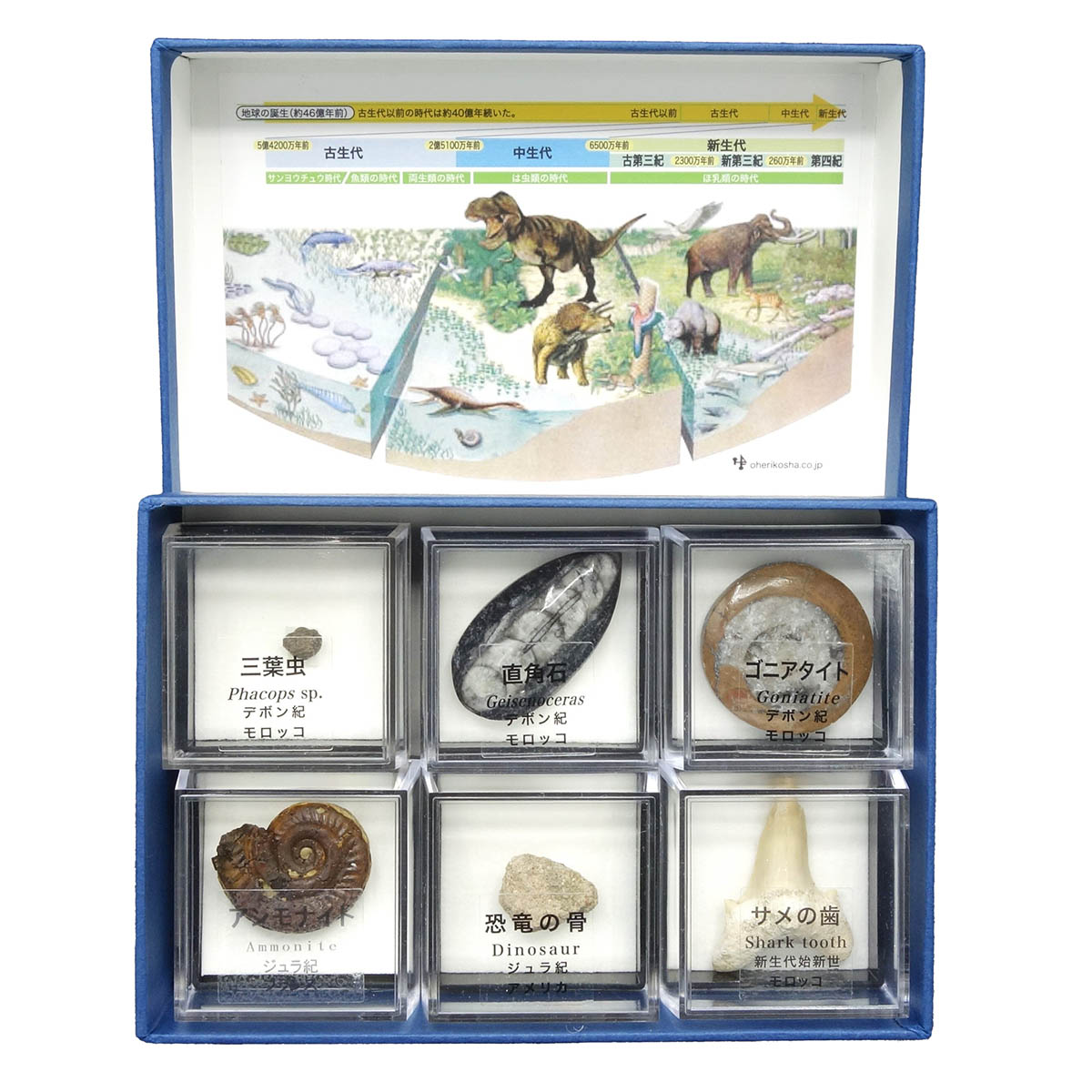 りかなびオンラインショップ】カテゴリ別｜必要な商品を今すぐ検索