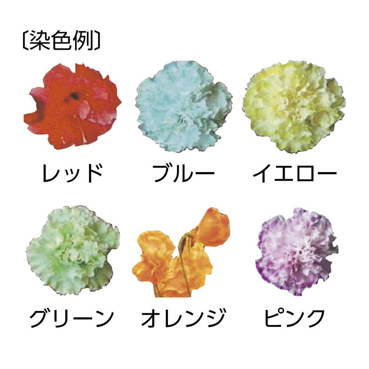 素敵です、華やかな柑子色と菜の花色の染め分けに花が咲く変わり織りの浴衣です 植物染色剤（道管観察液 ファンタジー） ピンク 100mL【りかなび