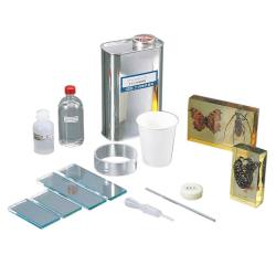 ※標本は付属しません。