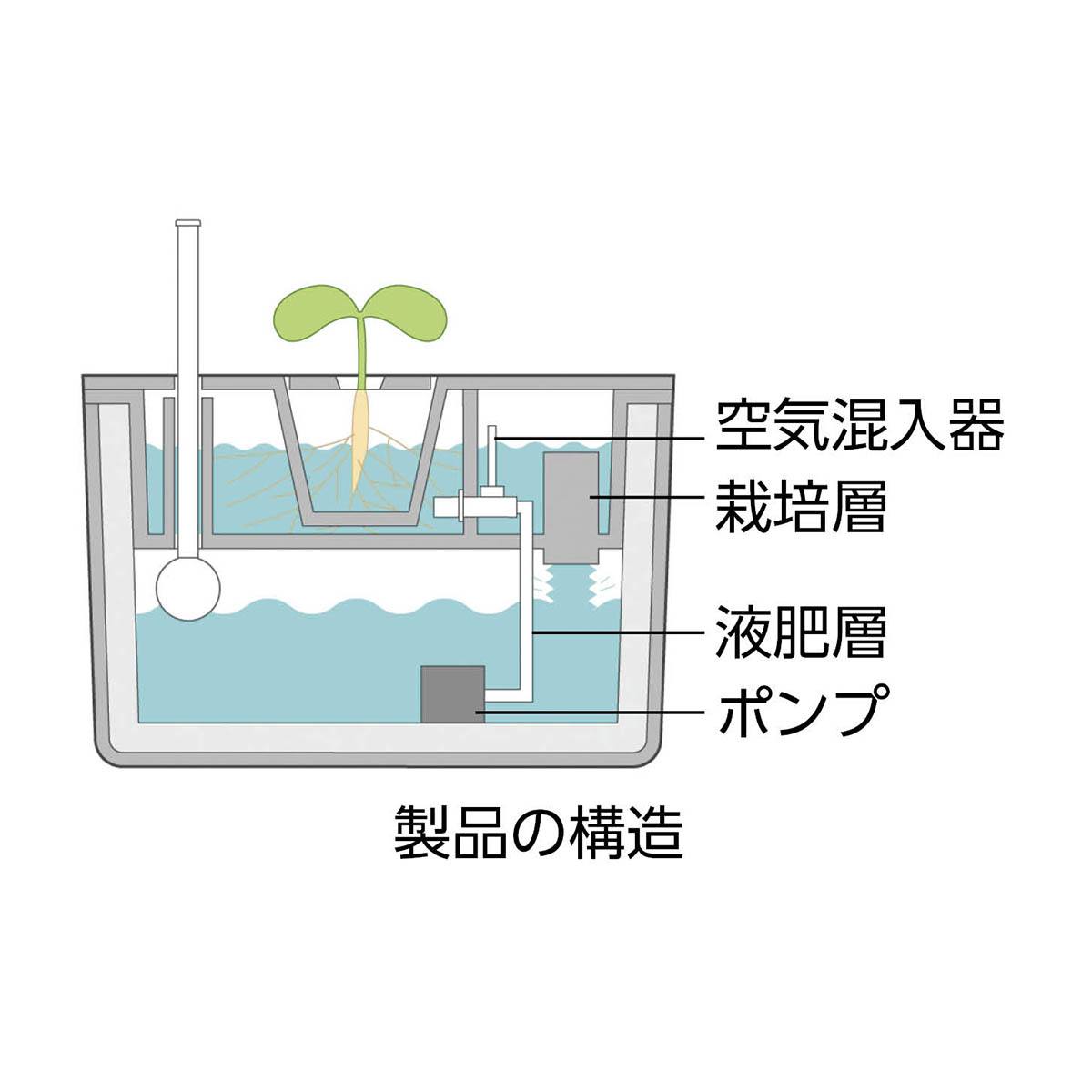 水耕栽培キット MASUCO【りかなび】ケニス株式会社 水耕栽培キット MASUCO【りかなび】ケニス株式会社