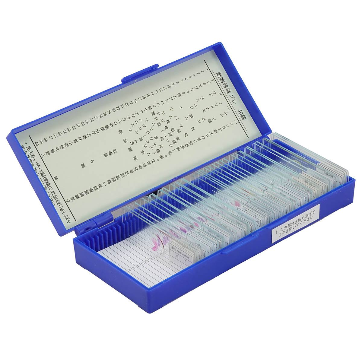 動物組織プレパラート 40P【りかなび】ケニス株式会社