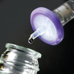 ※代表画像です。