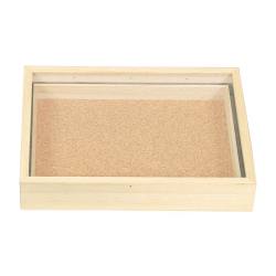 コン虫標本箱 DA【りかなび】ケニス株式会社