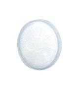 y♡様　確認用 交換用3μmメンブレンフィルタ（ピペットコントローラPI用