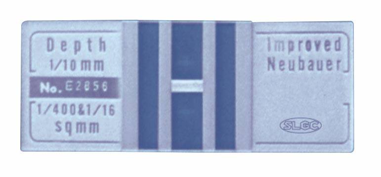 改良ノイバウエル血球計算盤 標準 KA125【サンリード硝子】【りか