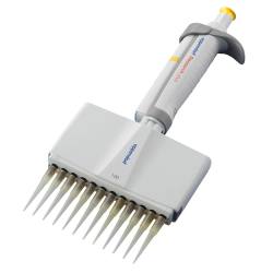 ※代表画像です。