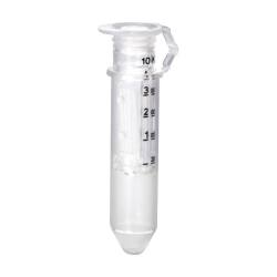 ※代表画像です。