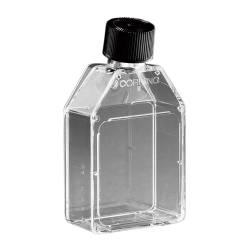 ※代表画像です。