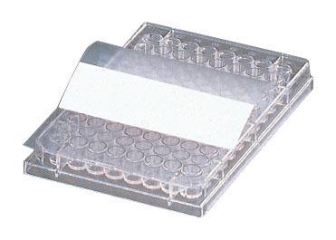 セルカルチャープレート　マイクロテストIIIプレート