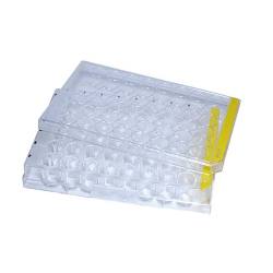 ※代表画像です。