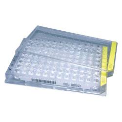 ※代表画像です。