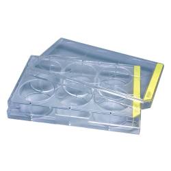 ※代表画像です。