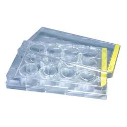 ※代表画像です。