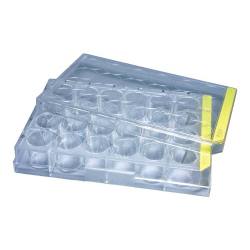 ※代表画像です。