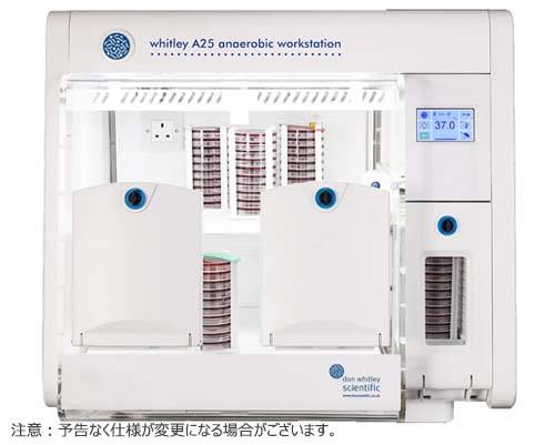 嫌気ワークステーション